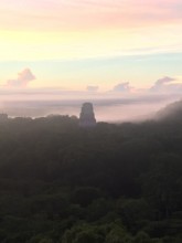 Tikal el Mundo perdido